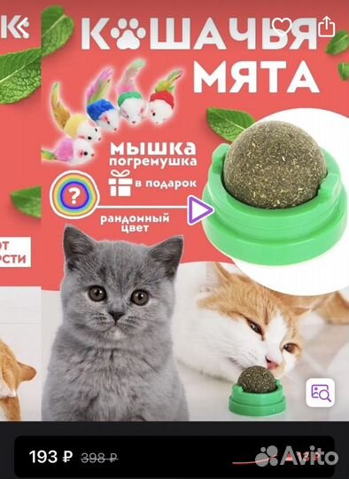 Кошачья мята