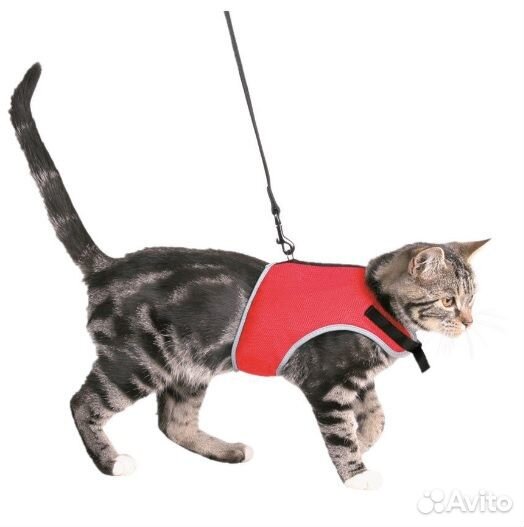 Шлейка для кошки