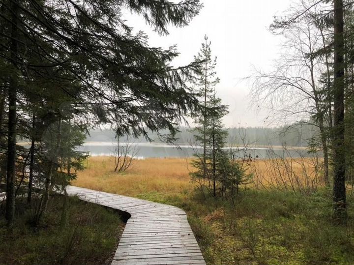 Участок 10,1 сот. (СНТ, ДНП)