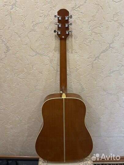 Акустическая гитара Vision