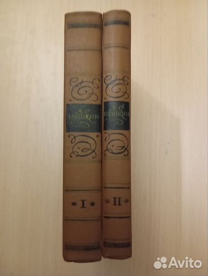 Пушкин. Избранные произведения в двух томах