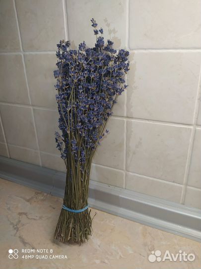 Крымская лаванда