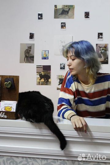 Администратор в котокафе/Бариста в кофейне