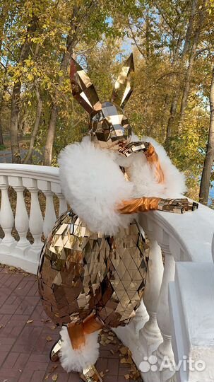 Зеркальные зайцы, зеркальные зайки, шоу