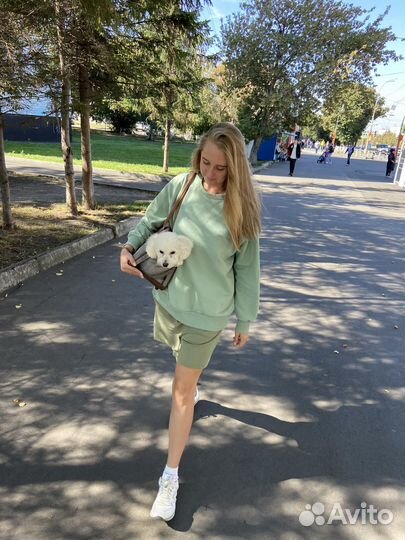 Сумка-переноска для животных