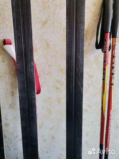 Беговые лыжи