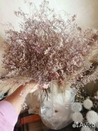 Цветы сухоцветы