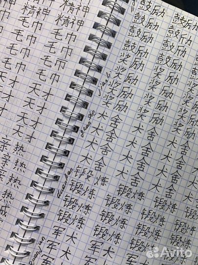 Репетитор английского и китайского языков