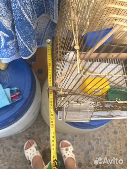 Клетка для птиц