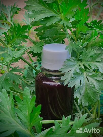 Масло полыни