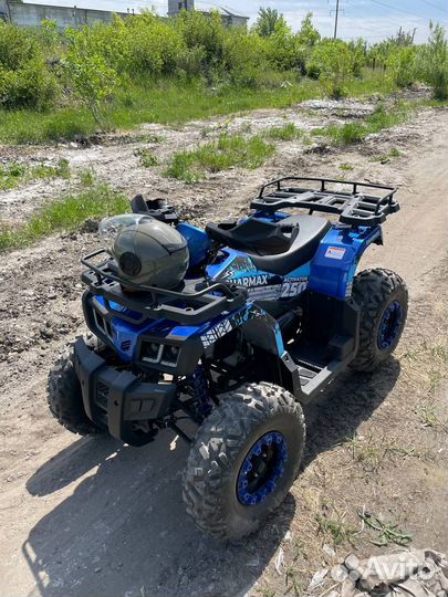 Квадроцикл Sharmax 250 Activator