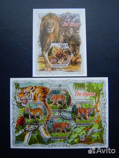 Фауна Африки