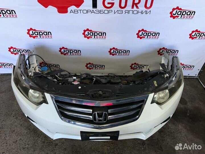 Ноускат (nose cut) Honda Accord 8 2.0 2011