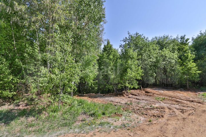 Участок 19,2 сот. (СНТ, ДНП)