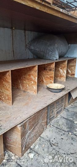 Курятник для кур