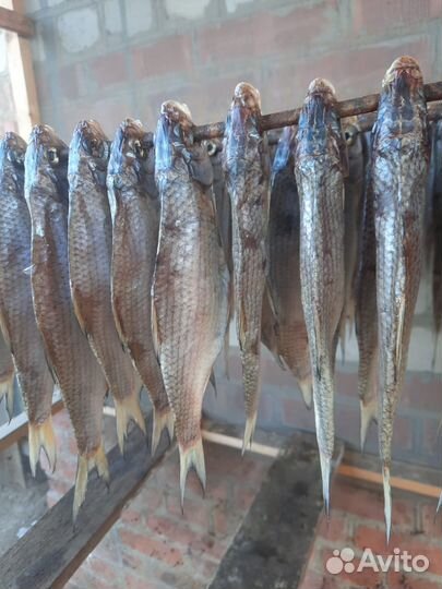 Астраханская вяленая вобла/Доставка
