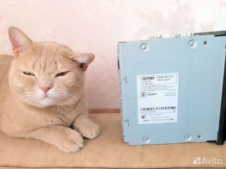 Головная магнитола Honda Freed Gathers VXM-122VF