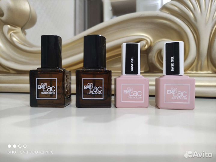 Праймер, база