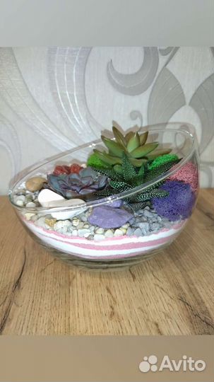 Флорариум суккуленты