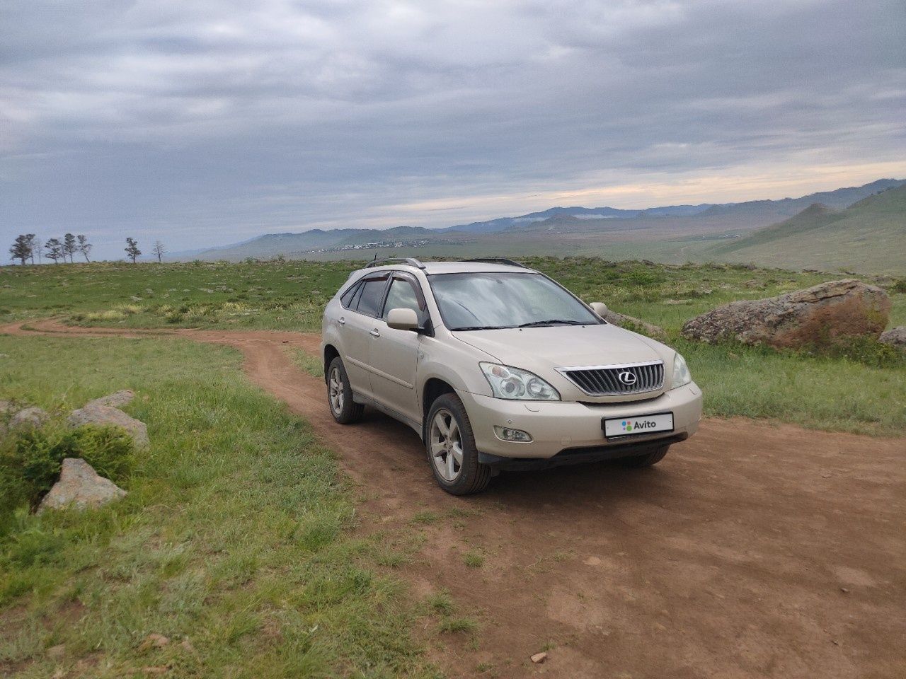 Lexus RX: фото владельца