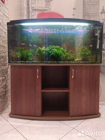 Аквариум 200 литров с тумбой