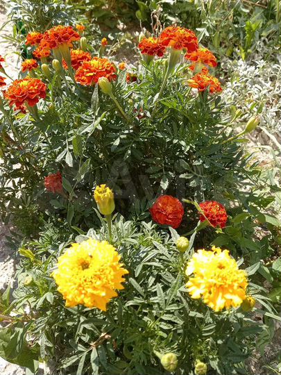 Дом 130 м² на участке 15 сот.