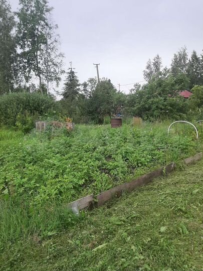 Участок 11 сот. (ИЖС)