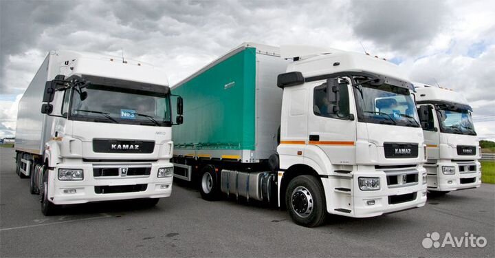 Водитель экспедитор категории Е