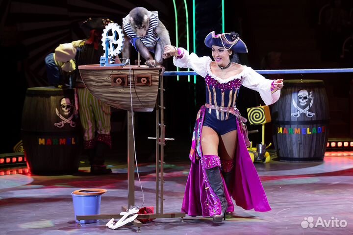 Грандиозное, яркое, потрясающее шоу Роботы в цирке