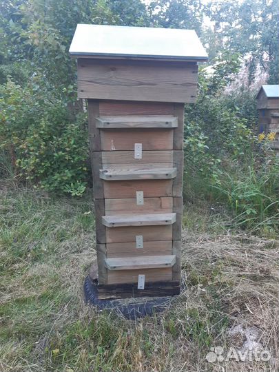 Улей для пчёл системы Варрэ