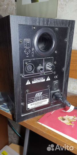 Колонки-мониторы ESI Near 05