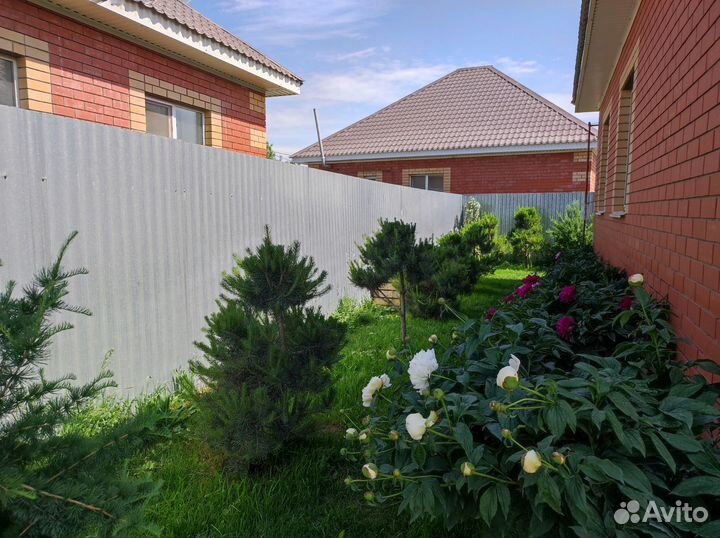 Распродажа цветов и декоративных растений для сада