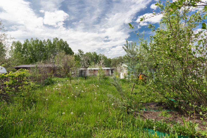 Участок 5,4 сот. (СНТ, ДНП)