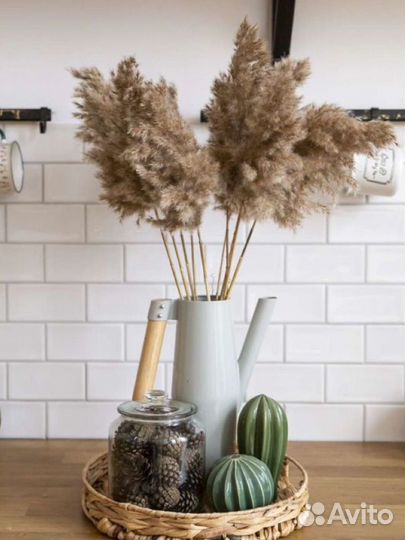 Сухоцветы/камыш/пампасная трава/трастник