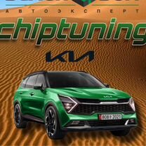 Чип Тюнинг Kia Sportage Евро 2