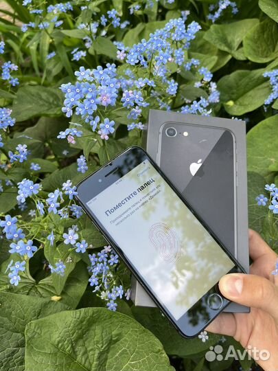 iPhone 8, 64 ГБ