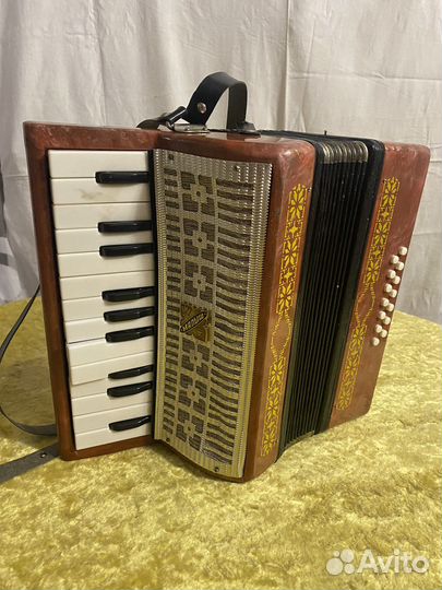 Аккордеон гармонь детская малыш СССР
