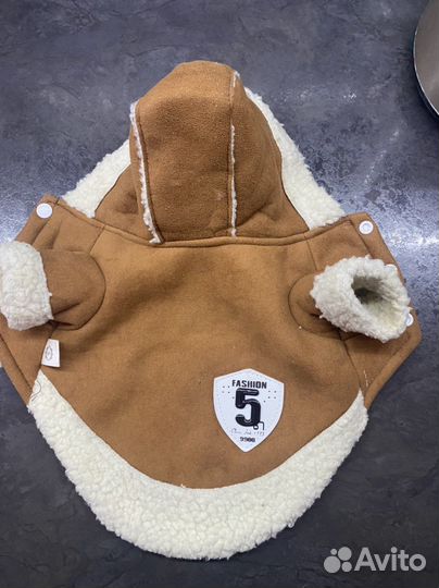 Одежда для маленьких собак xs