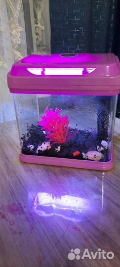 Аквариум