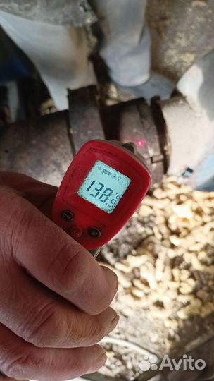 Корма экструдированные. Корм для собак