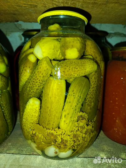 Огурцы соленые бочковые