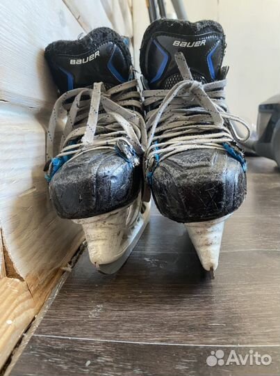 Коньки bauer nexus n7000