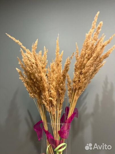 Цветы сухоцветы