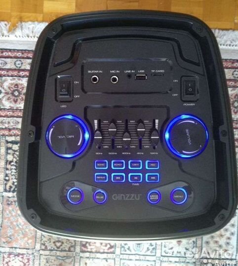 Аренда колонки Ginzzu 202