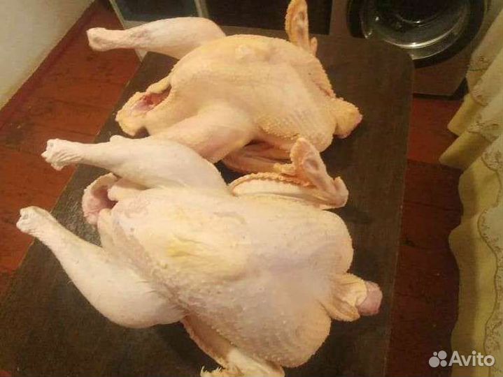 Мясо домашней индейки