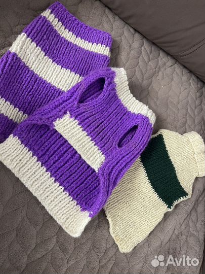 Вещи для собак