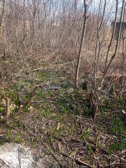 Участок 5 сот. (СНТ, ДНП)