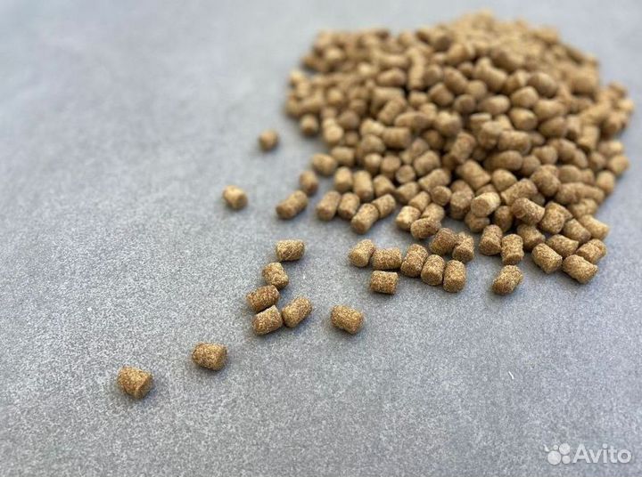 Лакомства для собак