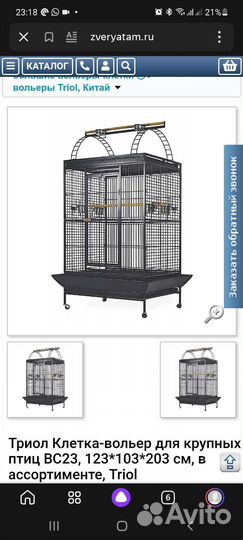 Попугай Амазон