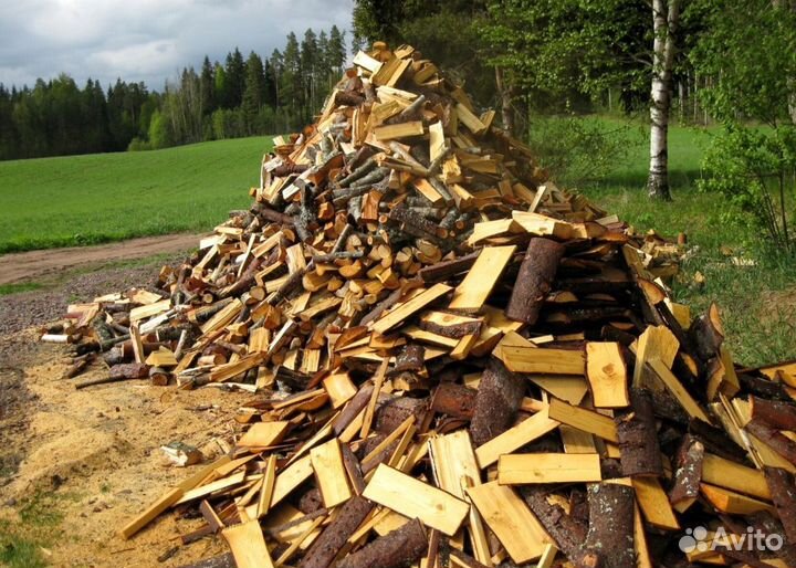 Дрова с Приморска